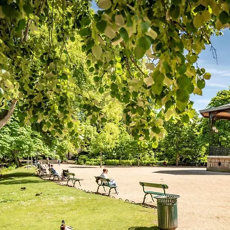 Le Paradis D'oe - Hypercentre - Netflix Daire Tours