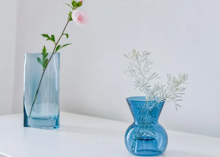 Le Paradis D'oe - Hypercentre - Netflix Daire