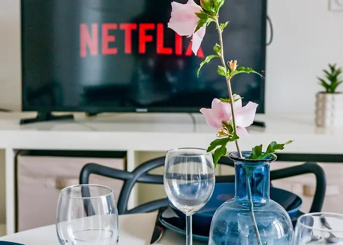 Le Paradis D'oe - Hypercentre - Netflix 图尔